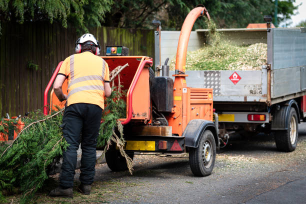 Best Emergency Tree Removal  in Corsicana, TX